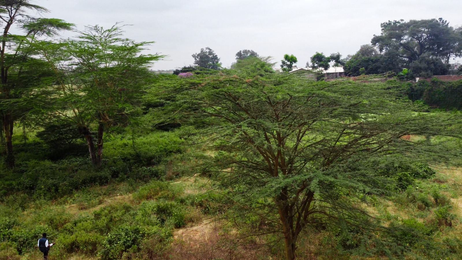 Congregation walking the Urejesho City land